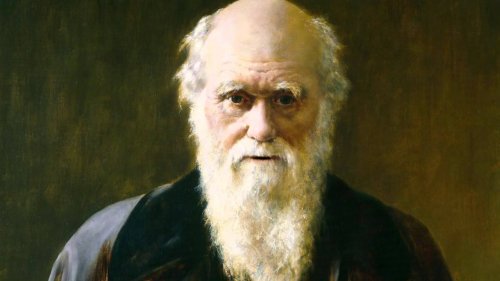 karol darwin