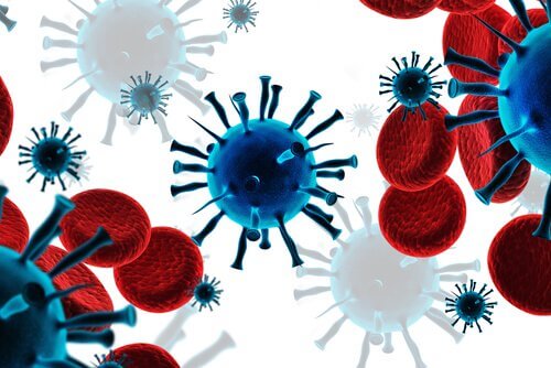 komórki układu immunologicznego