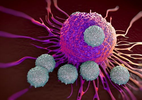 komórki rakowe a immunoterapia
