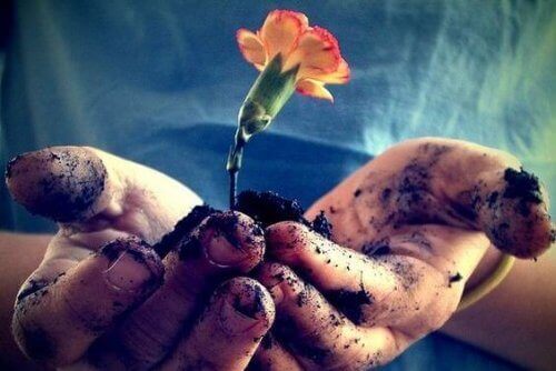 Miłość jak kwiat – pielęgnuj ją, jeśli ma rozkwitnąć
