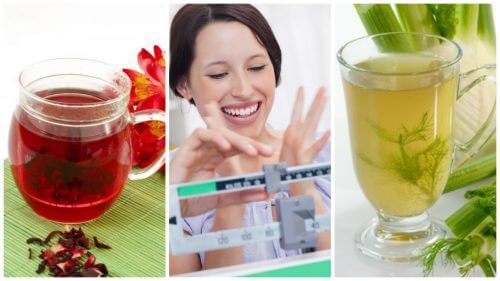 Schudnij łatwo regularnie sięgając po tych 6 naturalnych naparów Schudnij łatwo regularnie sięgając po tych 6 naturalnych naparów