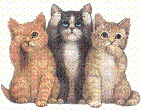 Trzy koty