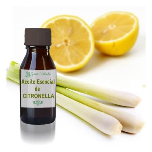 Aromatyczny olejek z citronelli