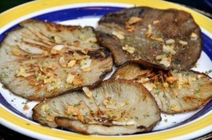 Boczniaki znakomicie wzmacniają układ odpornościowy