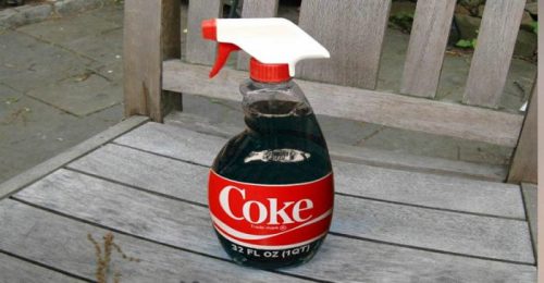 Coca cola w butelce ze spryskiwaczem