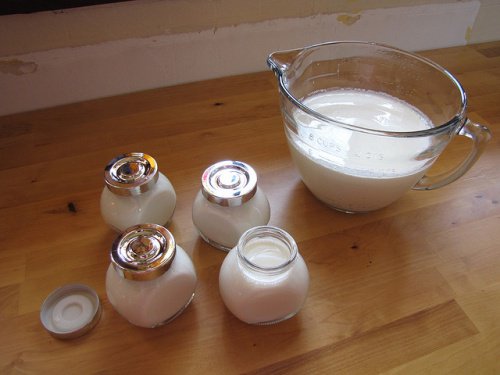 Domowy jogurt wspomaga bakteryjną florę jelitową