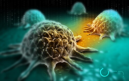 komórki rakowe a rak żołądka