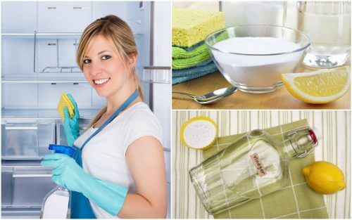 Lodówka - umyj ją i zdezynfekuj domowymi sposobami