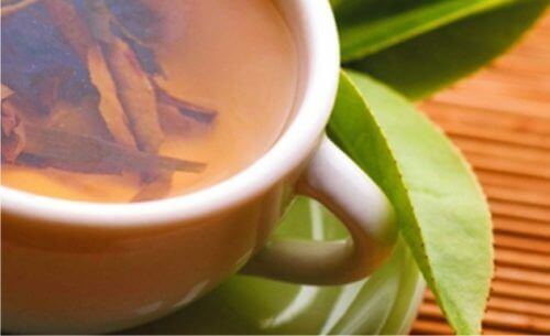 napar z białej wierzby