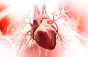Serce i jego zdrowie - 7 porad, jak o nie zadbać