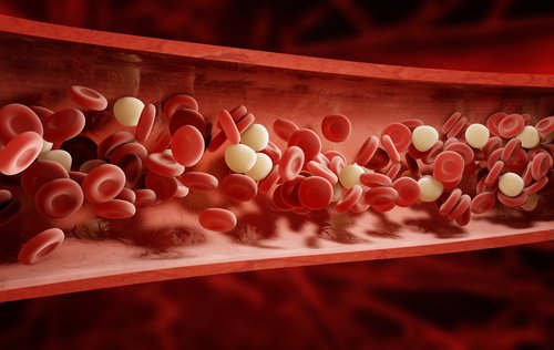 Oczyszczenie krwi z toksyn – 9 przypraw