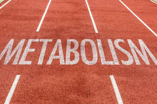 Metabolizm