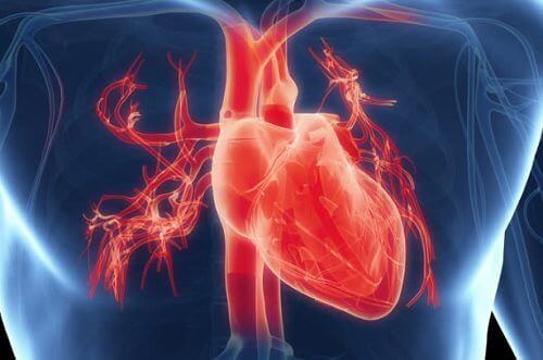 Serce i jego kondycja - 7 objawów, które Cię zaniepokoją