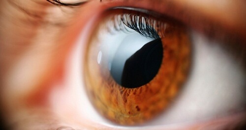 Oczy - Poznaj 5 problemów zdrowotnych