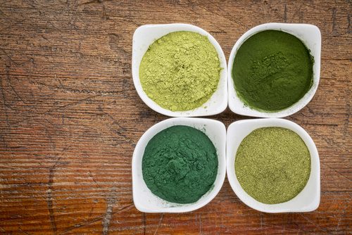 spirulina - różne kolory