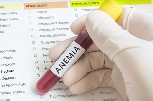 Anemia badanie krwi