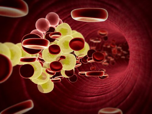 cholesterol we krwi