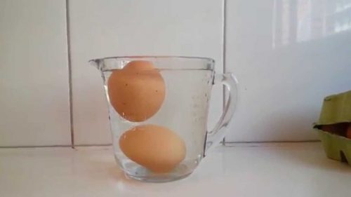 Jajka w szklanym naczyniu
