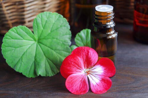 Olejek z geranium