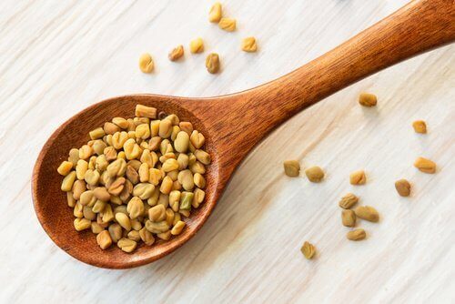 nasiona kozieradki na drewnianej łyżce