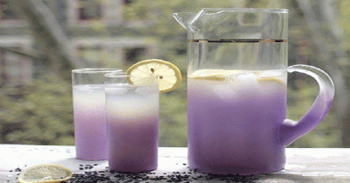 Lemoniada lawendowa na Lepszy sen
