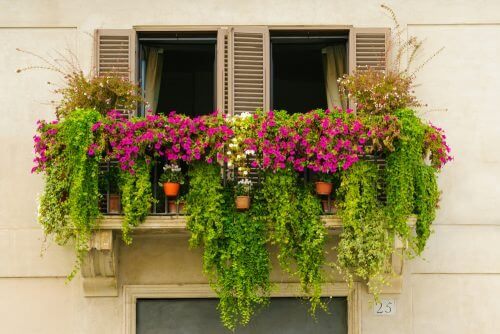 Ogród na balkonie – 14 propozycji dla Twojego balkonu