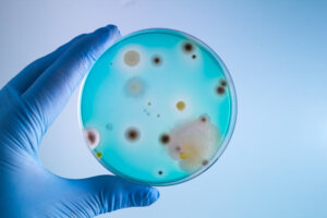 9 niebezpiecznych bakterii, na które powinieneś uważać