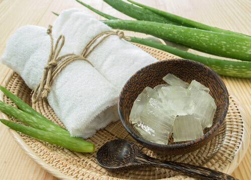 Aloes