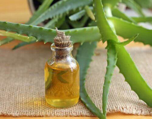 Aloes i argan na loki