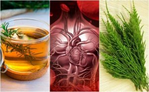 Układ krążenia – popraw go stosując tych 5 ziół