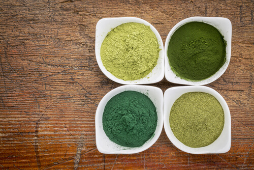 Rodzaje spirulina