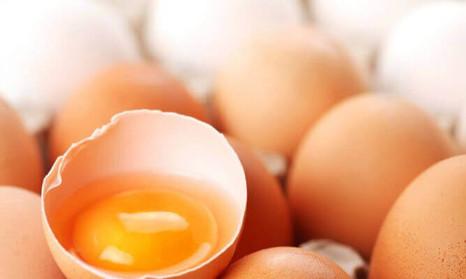 jaja kurze a białko jaja