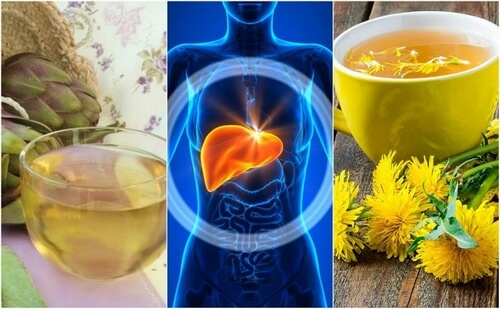 Stłuszczenie wątroby – zwalcz je naturalnie ziołowymi remediami Stłuszczenie wątroby – zwalcz je naturalnie ziołowymi remediami