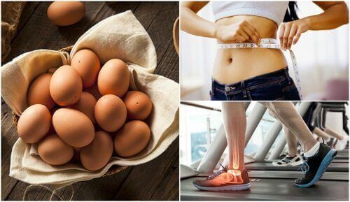 Warto jeść jajka – Poznaj 7 powodów
