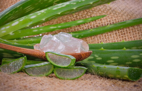 Aloes na zapalenie dziąseł