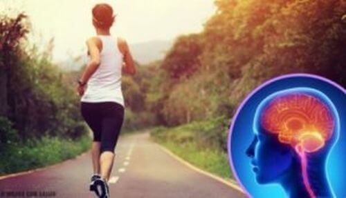 Mózg a ćwiczenia - Jak reaguje na brak aktywności?