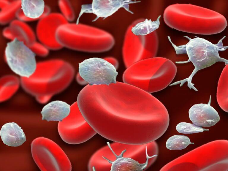 Krwinki czerwone a jakości krwi