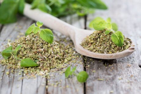 Oregano, herbaty ziołowe