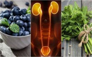 Nerki i pęcherz: poznaj 7 produktów, które pomogą Ci je chronić
