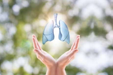 Zdrowe płuca w dłoni, a Nowotwór płuc