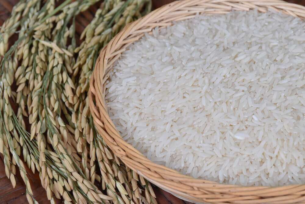 ryż a przyrost masy ciała