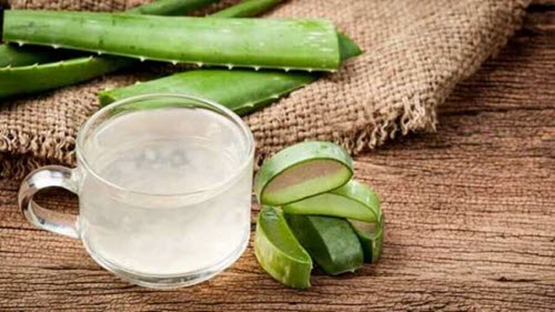 Aloes i żel z aloesu