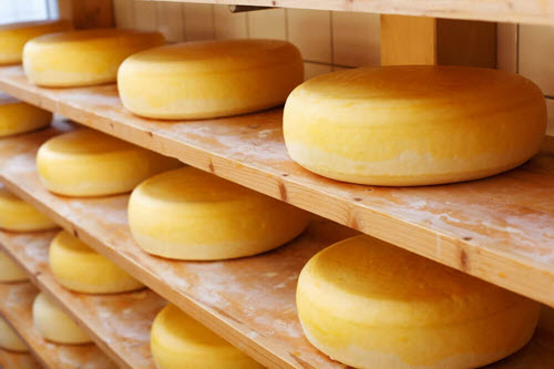 Sery, cheddar