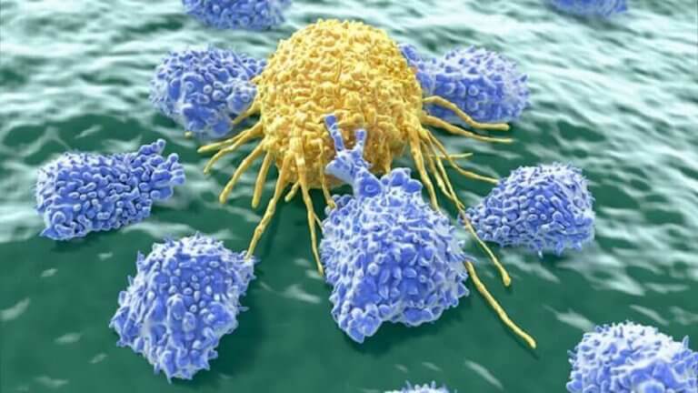Komórki rakowe