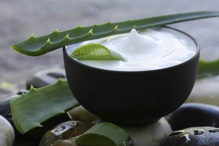 Krem z aloes