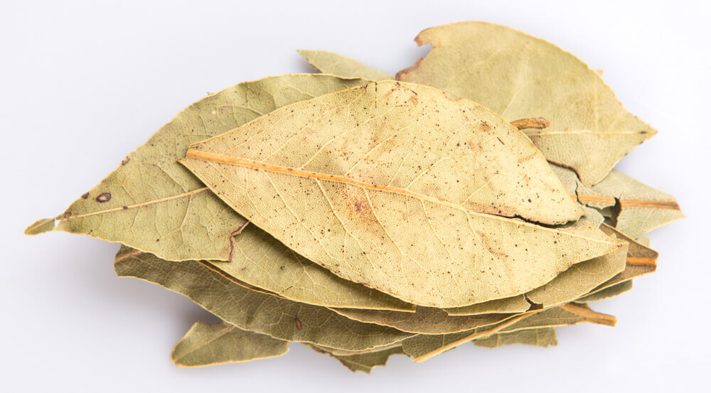 Liście laurowe na zdrowe Płuca