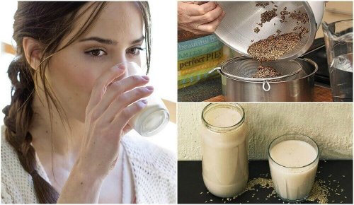 Nasiona mozgi kanaryjskiej – przepis na mleko