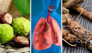 Zdrowe płuca – 4 naturalne remedia