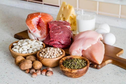 Różne typy białka w pożywieniu