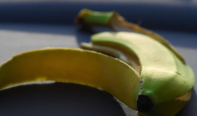 skórka banana banany i plantany